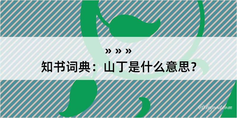 知书词典：山丁是什么意思？