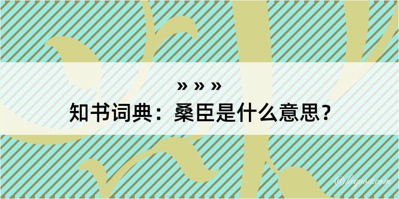 知书词典：桑臣是什么意思？