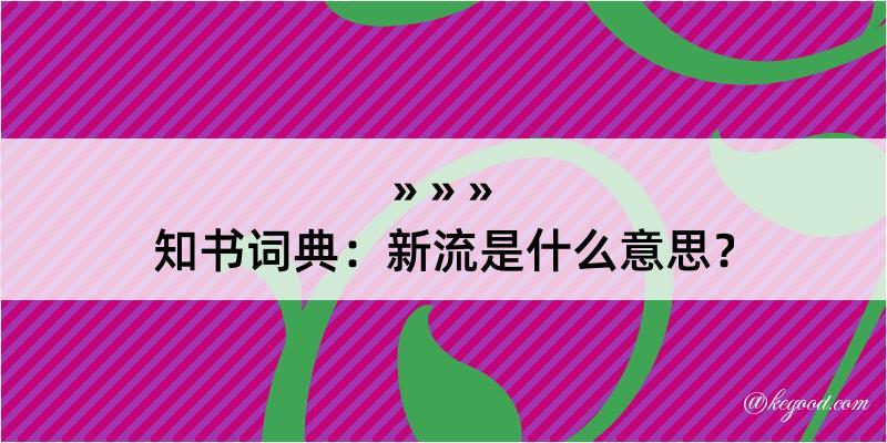 知书词典：新流是什么意思？