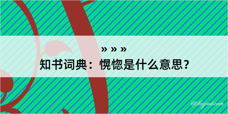 知书词典：愰惚是什么意思？