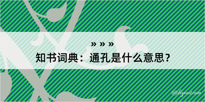 知书词典：通孔是什么意思？