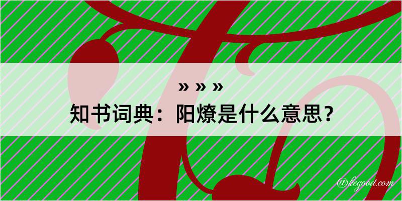 知书词典：阳燎是什么意思？