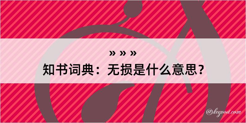 知书词典：无损是什么意思？