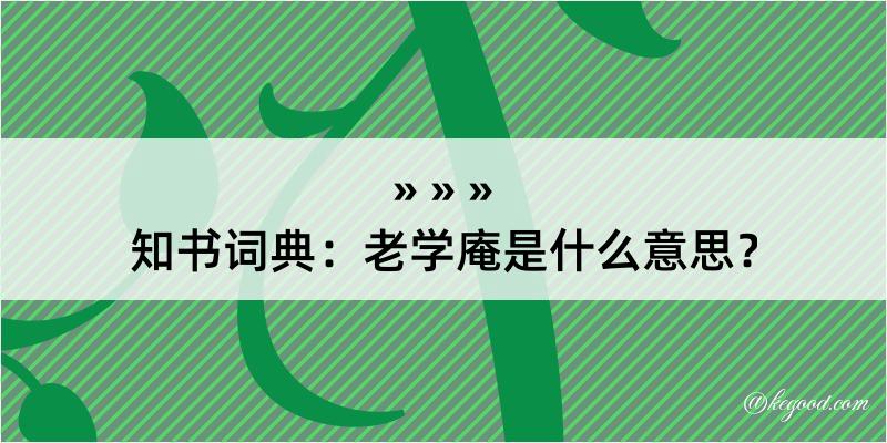 知书词典：老学庵是什么意思？