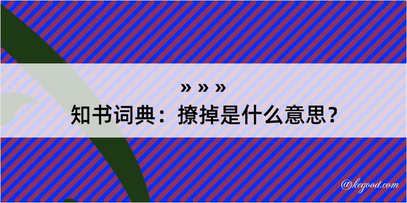 知书词典：撩掉是什么意思？