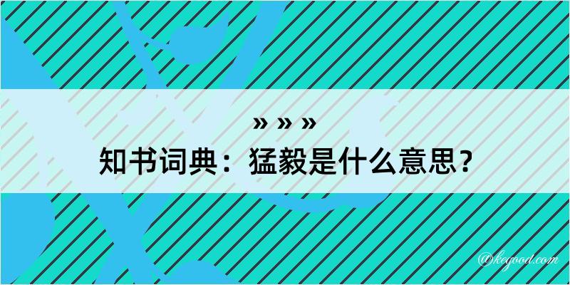 知书词典：猛毅是什么意思？