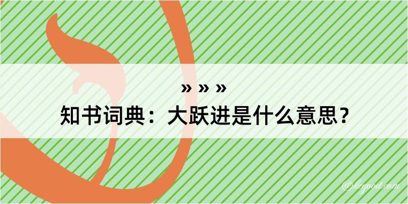 知书词典：大跃进是什么意思？