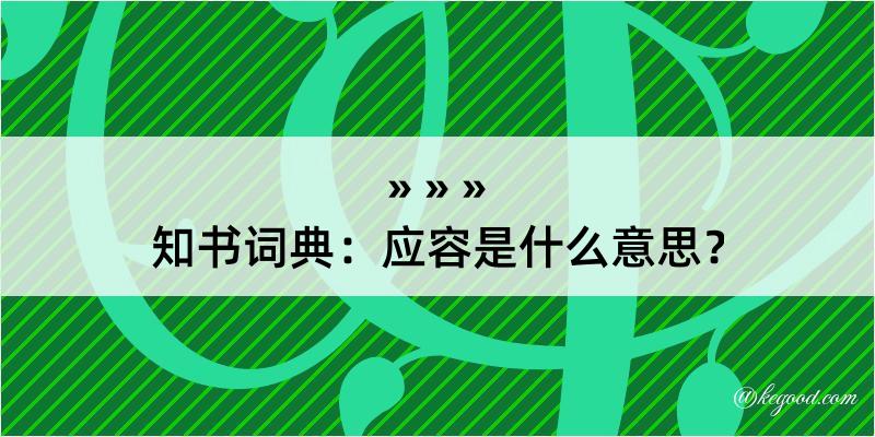 知书词典：应容是什么意思？