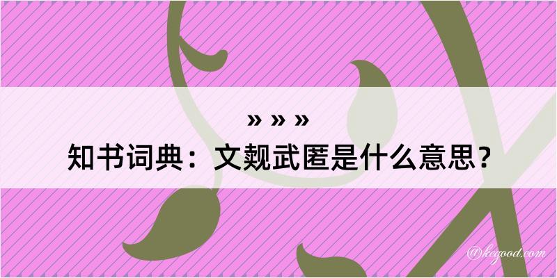 知书词典：文觌武匿是什么意思？