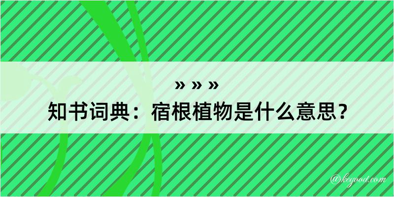 知书词典：宿根植物是什么意思？