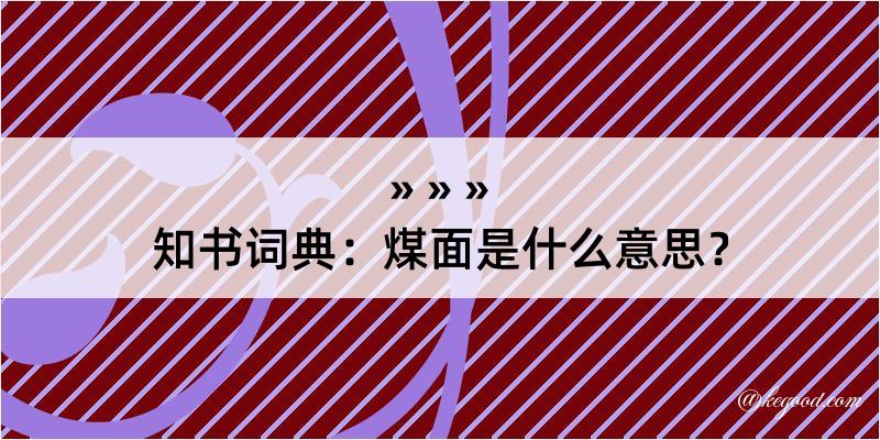 知书词典：煤面是什么意思？