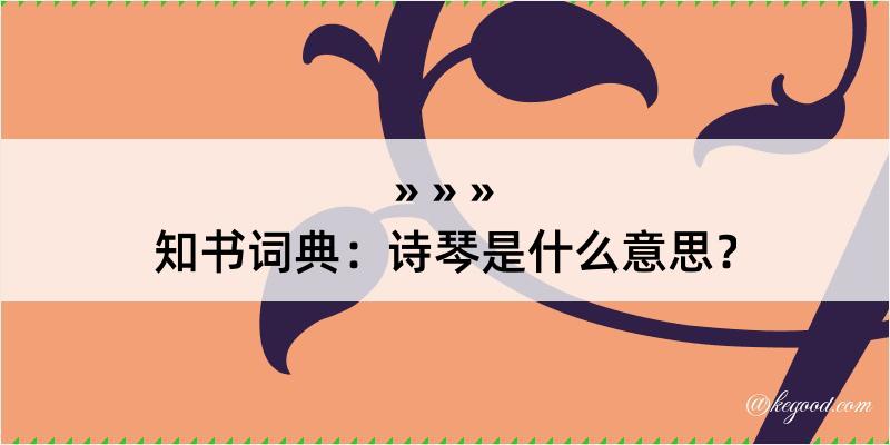 知书词典：诗琴是什么意思？