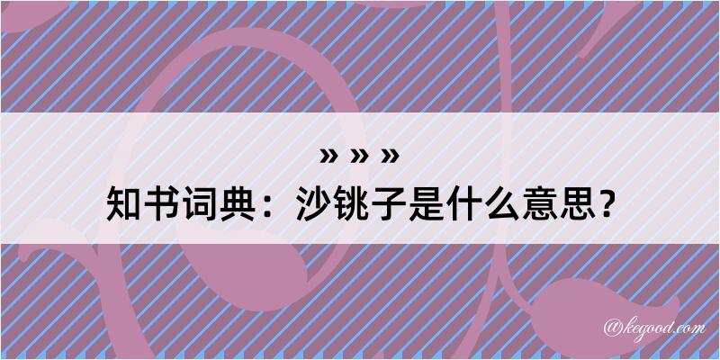 知书词典：沙铫子是什么意思？