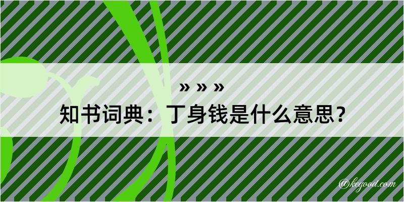 知书词典：丁身钱是什么意思？