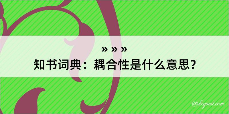 知书词典：耦合性是什么意思？