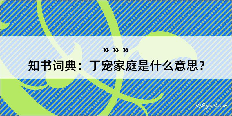 知书词典：丁宠家庭是什么意思？