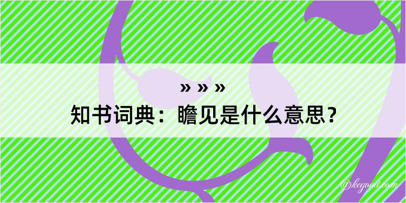 知书词典：瞻见是什么意思？