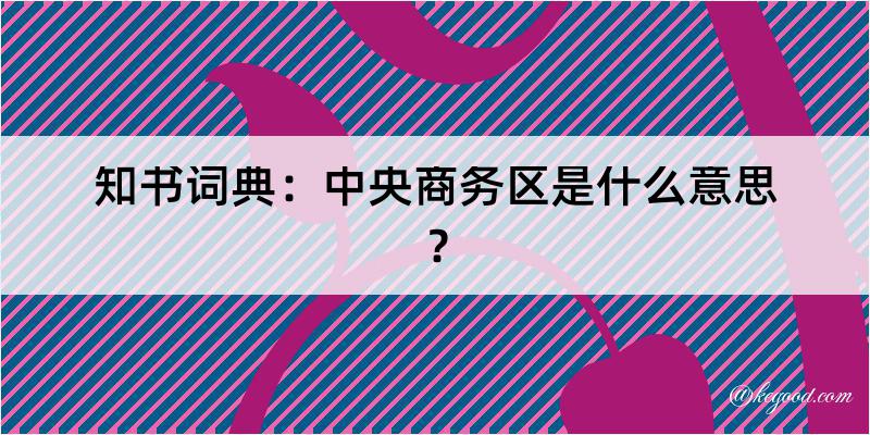 知书词典：中央商务区是什么意思？