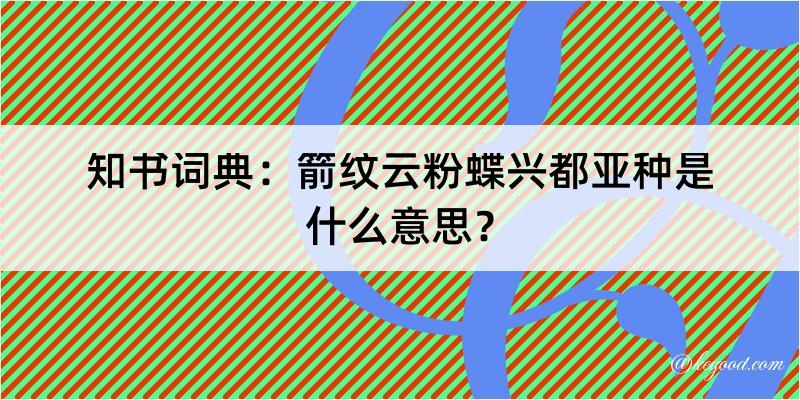 知书词典：箭纹云粉蝶兴都亚种是什么意思？