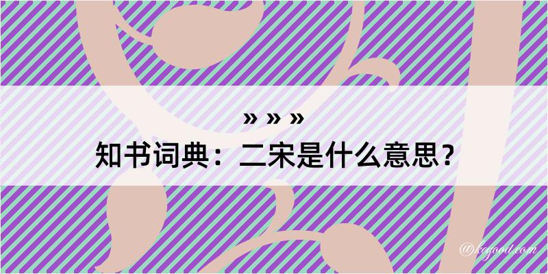 知书词典：二宋是什么意思？