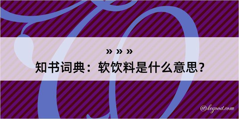 知书词典：软饮料是什么意思？