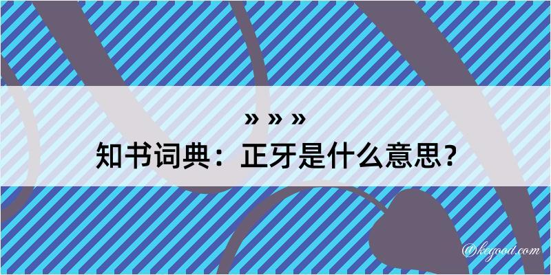 知书词典：正牙是什么意思？