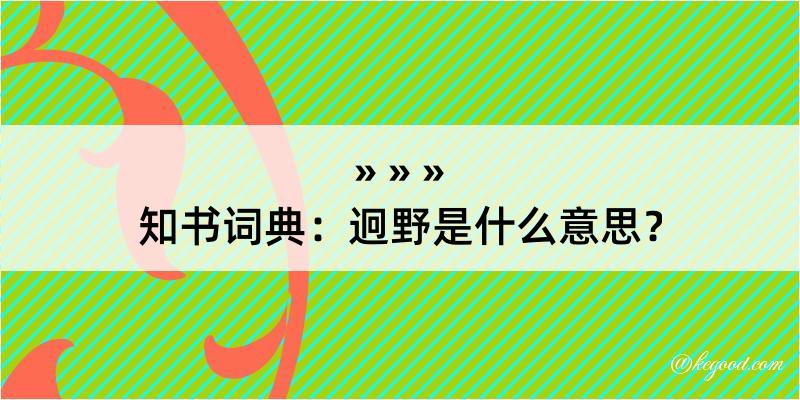 知书词典：迥野是什么意思？