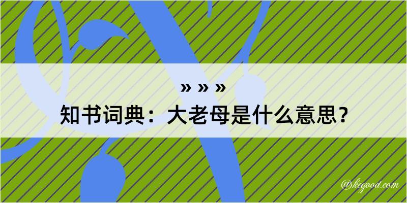 知书词典：大老母是什么意思？