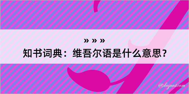 知书词典：维吾尔语是什么意思？