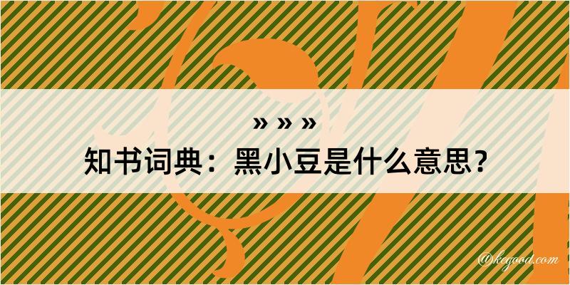 知书词典：黑小豆是什么意思？