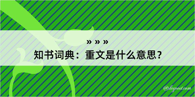 知书词典：重文是什么意思？