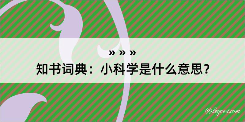 知书词典：小科学是什么意思？