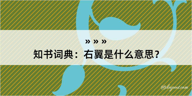 知书词典：右翼是什么意思？