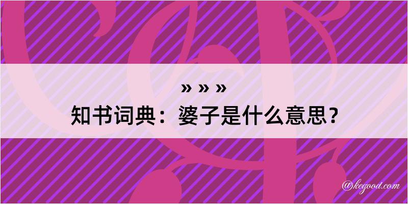 知书词典：婆子是什么意思？