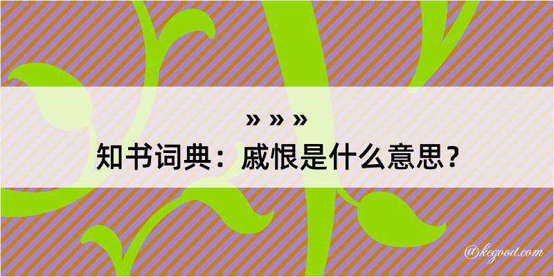 知书词典：戚恨是什么意思？