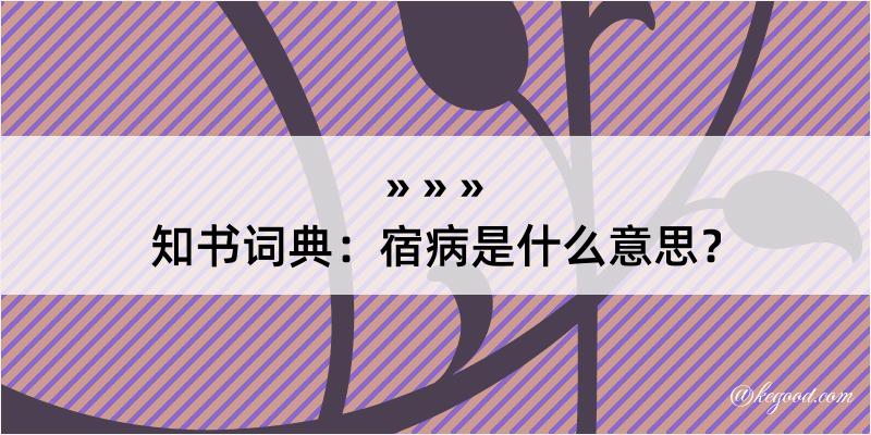 知书词典：宿病是什么意思？