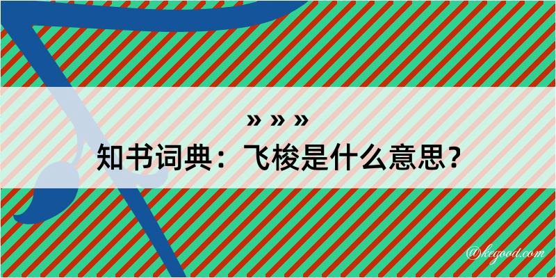 知书词典：飞梭是什么意思？