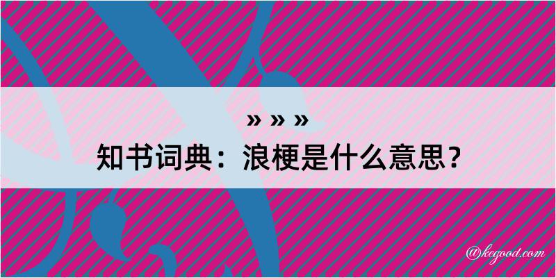 知书词典：浪梗是什么意思？