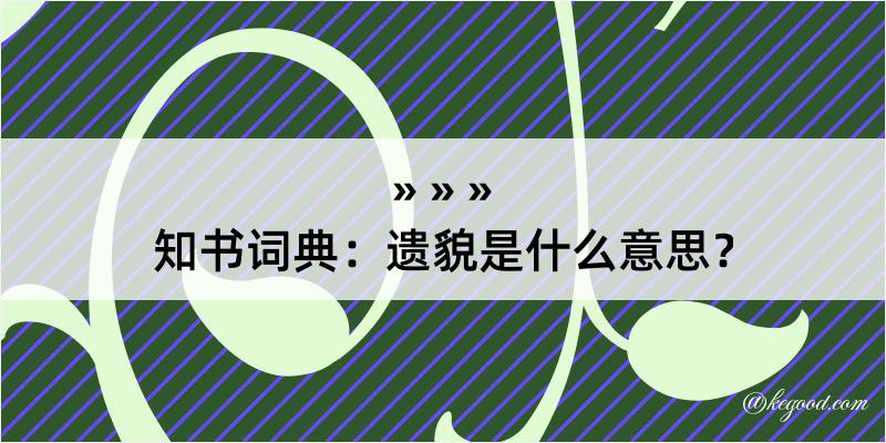 知书词典：遗貌是什么意思？