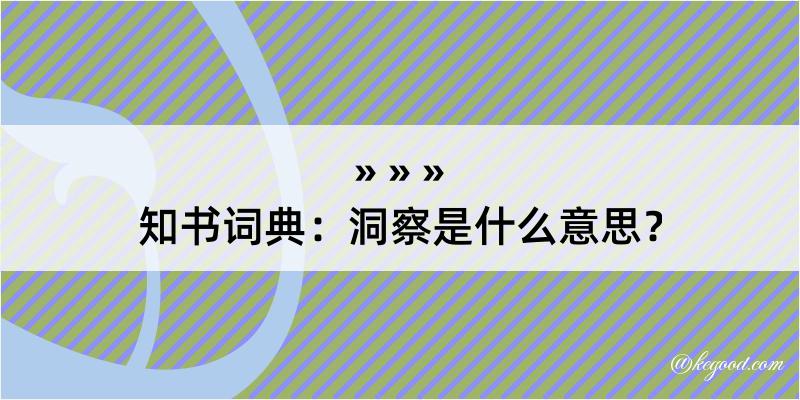 知书词典：洞察是什么意思？