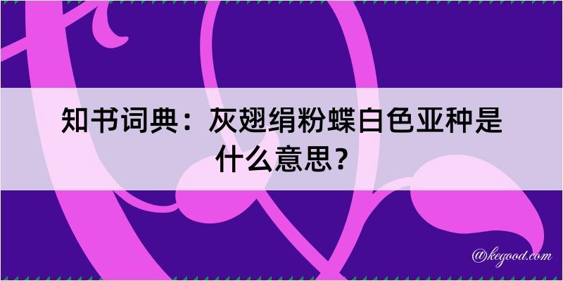 知书词典：灰翅绢粉蝶白色亚种是什么意思？