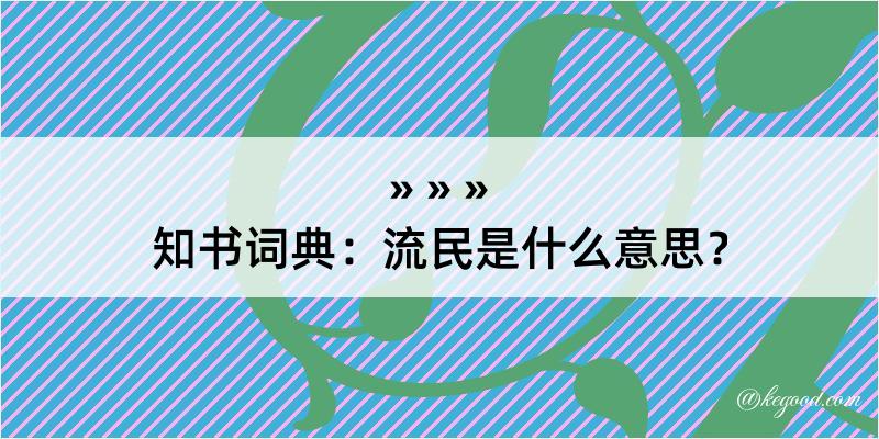 知书词典：流民是什么意思？