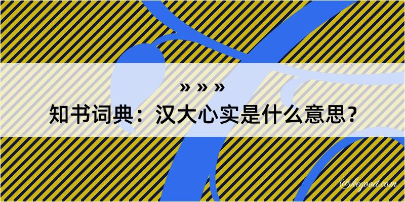 知书词典：汉大心实是什么意思？