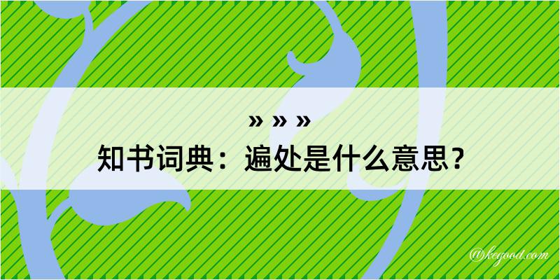 知书词典：遍处是什么意思？