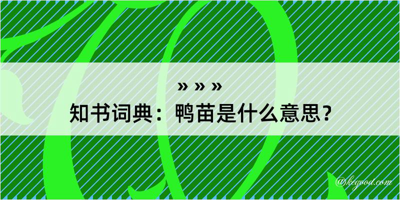 知书词典：鸭苗是什么意思？