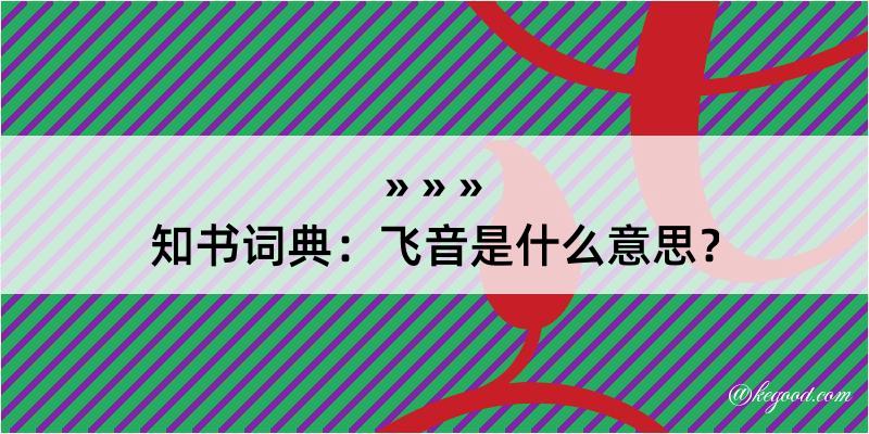 知书词典：飞音是什么意思？