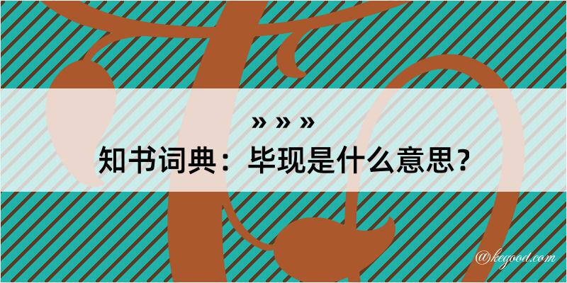 知书词典：毕现是什么意思？