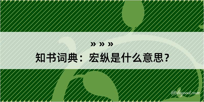 知书词典：宏纵是什么意思？