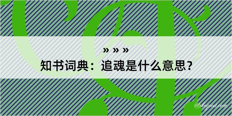 知书词典：追魂是什么意思？