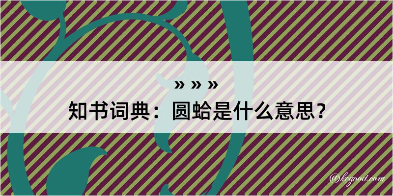 知书词典：圆蛤是什么意思？